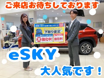 ｅＳＫＹ❕大人気、展示会開催✨